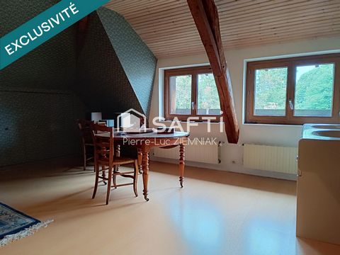 photo no. 11