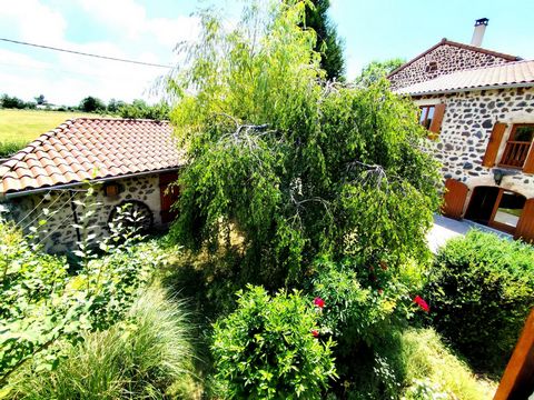 photo no. 10