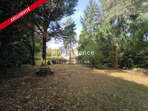 photo no. 14