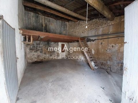 photo no. 7