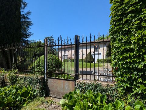 photo no. 15