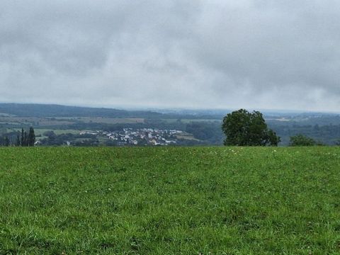photo no. 4