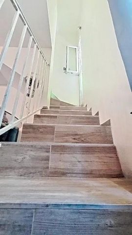 photo no. 11