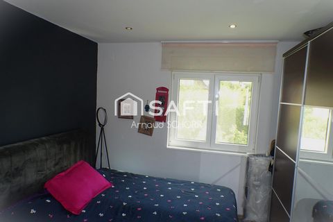 photo no. 10