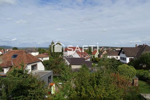 photo no. 12