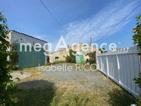 photo no. 14