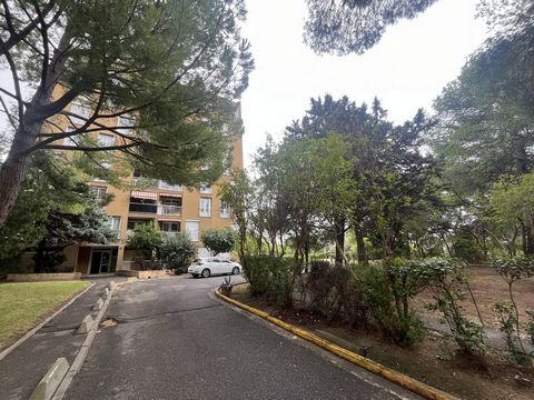 photo no. 11
