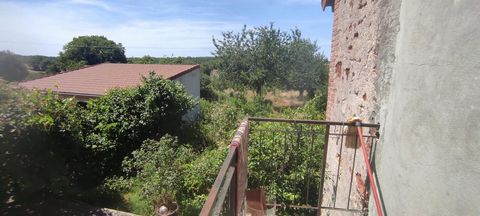 photo no. 2