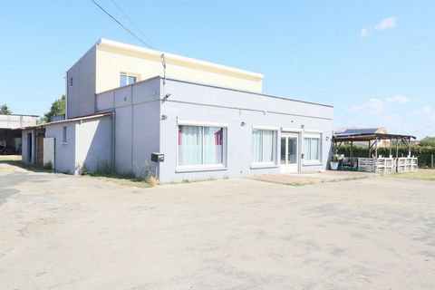 photo no. 13