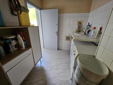 photo no. 11