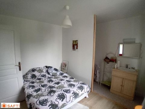 photo no. 8
