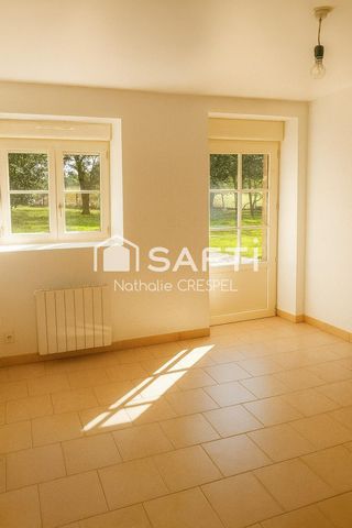 photo no. 12