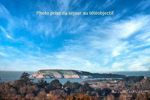 photo no. 13