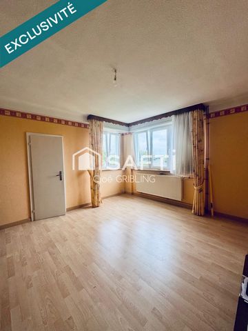 photo no. 11