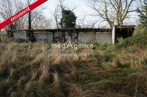 photo no. 10