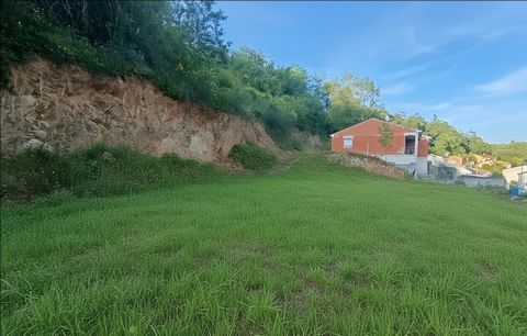 Terrain constructible de 1450 m²