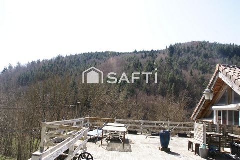 photo no. 9