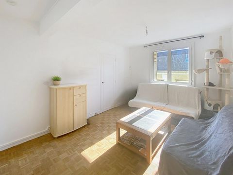 photo no. 3
