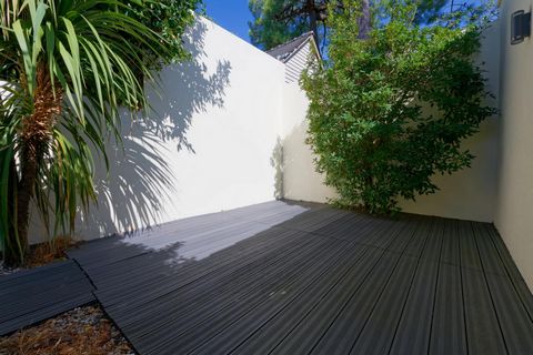 photo no. 6