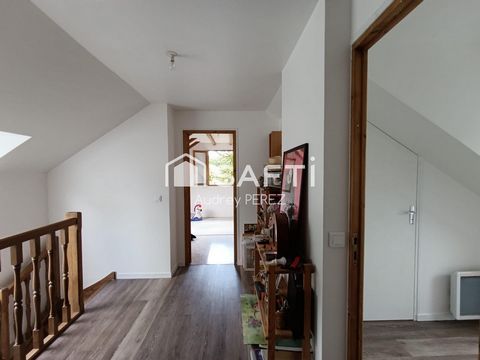 photo no. 6