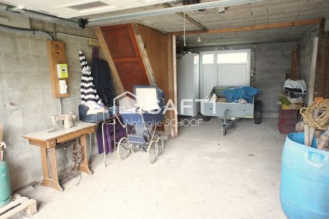 photo no. 12