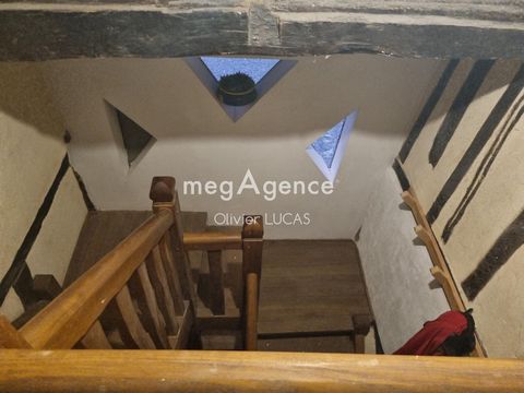 photo no. 13