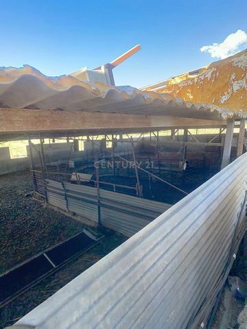 Terrain rustique de 7.500 m² avec eau et électricité Idéal pour maison rurale, élevage ou investissement touristique À vendre : terrain rustique de 7.500 mètres carrés avec accès à leau et à lélectricité. Situé à quelques minutes dAlhaurín el Grande,...