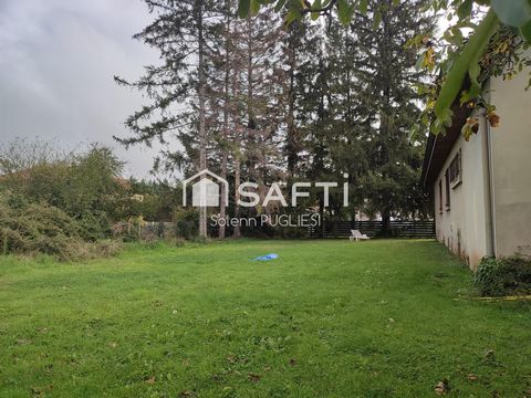 photo no. 10