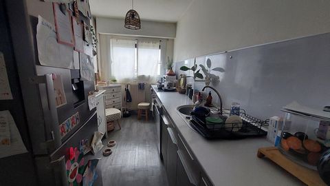 photo no. 1