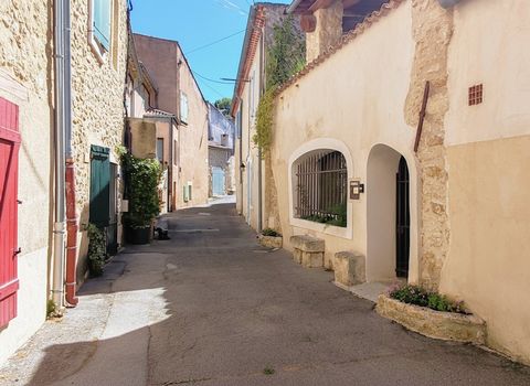 Très belle maison de village, 2 terrasses + garage - Luberon