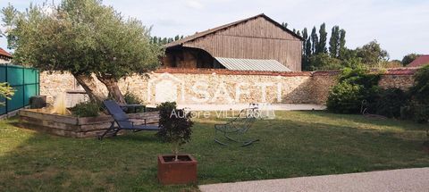 photo no. 14