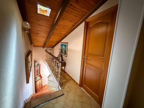 photo no. 10