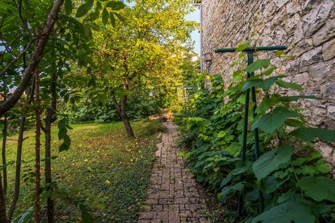 photo no. 13