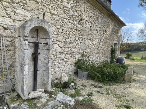 photo no. 23