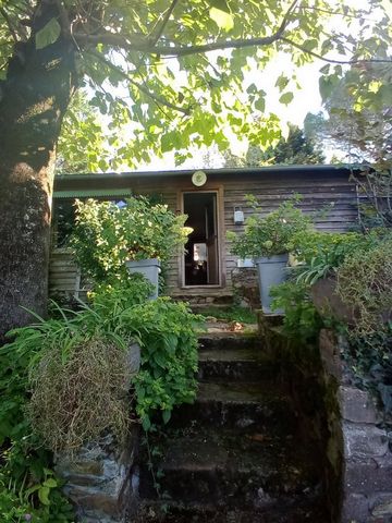 photo no. 34