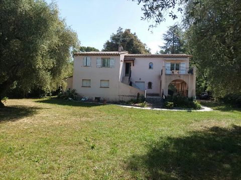 photo no. 6