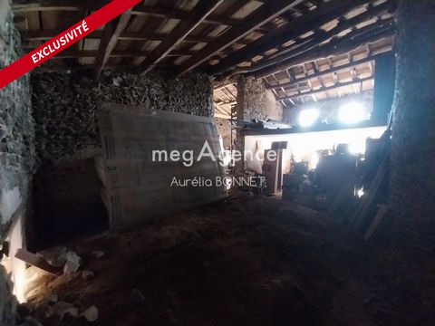 photo no. 1