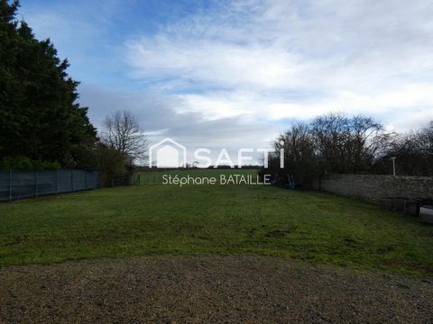 photo no. 10