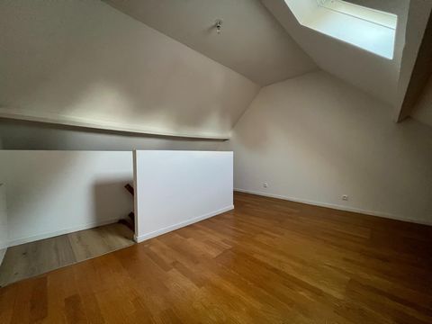 photo no. 8