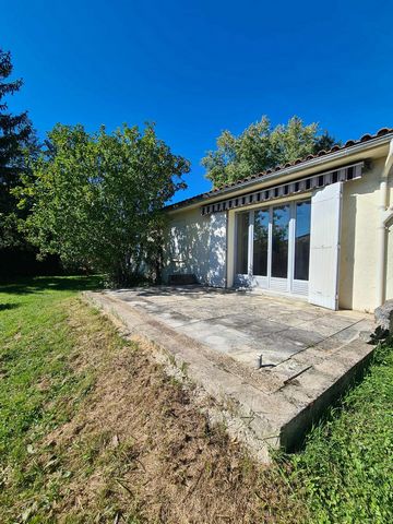 photo no. 12