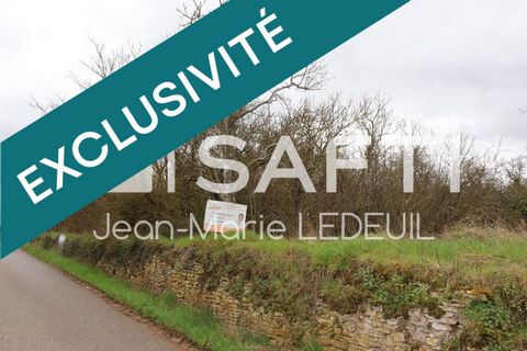 Terrain de loisir, vergers.