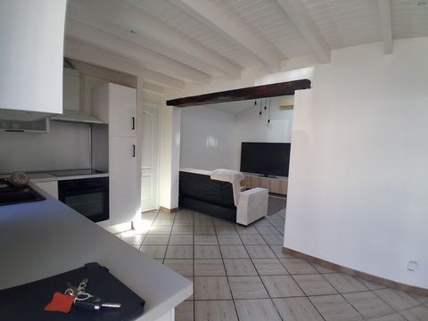 photo no. 12