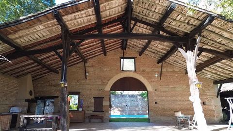 photo no. 13