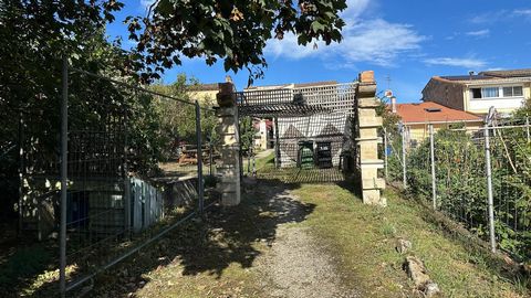 photo no. 5