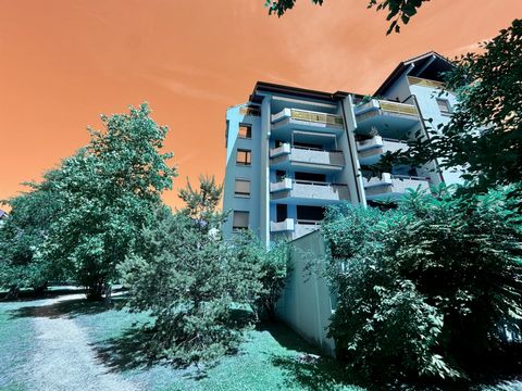 photo no. 16