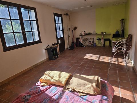 photo no. 14