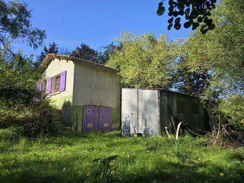photo no. 16