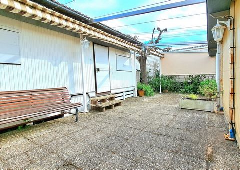 photo no. 10