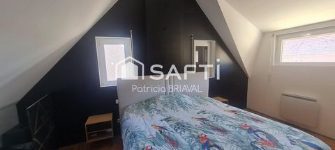 photo no. 6