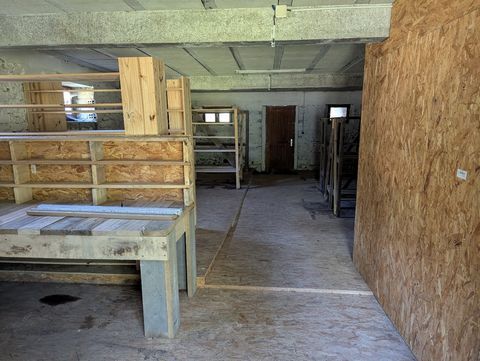 photo no. 15